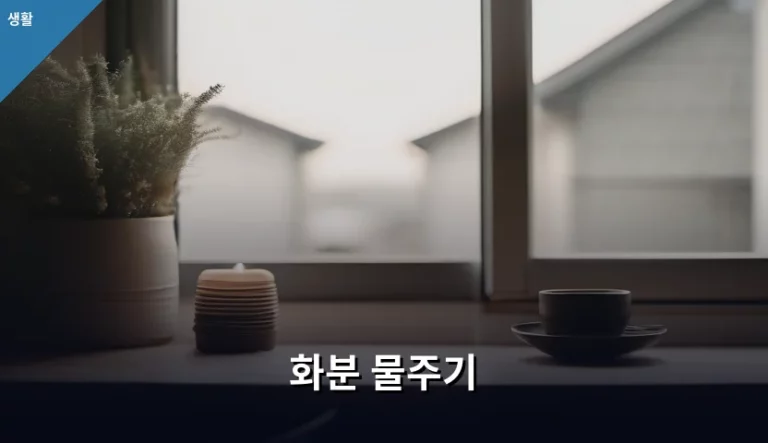 초보 식집사도 실패 없는 화분 물주기 노하우와 주의사항