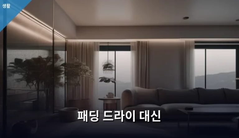 패딩 드라이 대신 집에서 관리하는 세탁 방법