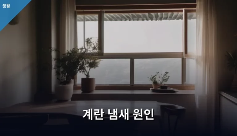 계란 냄새 원인 파악과 상황별 해결 방법