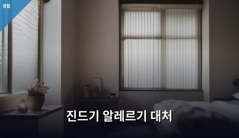 진드기 알레르기 대처 방법과 실내 환경 관리법