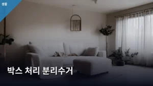 대형 박스 처리 분리수거, 헷갈리는 방법 총정리하기