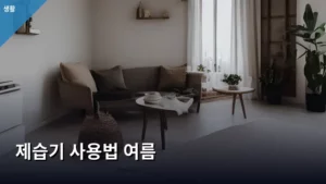 꿉꿉한 장마철 필수템! 제습기 사용법 여름 완벽 가이드