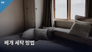 꿀잠을 위한 완벽한 베개 세탁 방법, 집에서 쉽게 하는 법