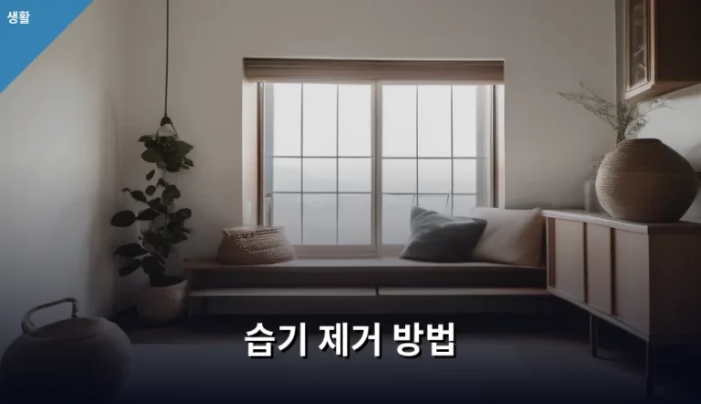쾌적한 실내 환경을 위한 완벽한 습기 제거 방법 가이드