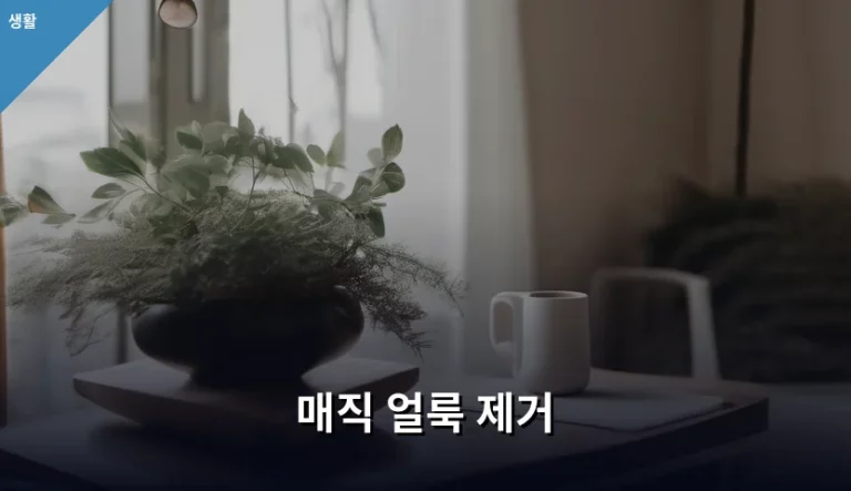 지워지지 않는 흔적, 매직 얼룩 제거 완벽 가이드
