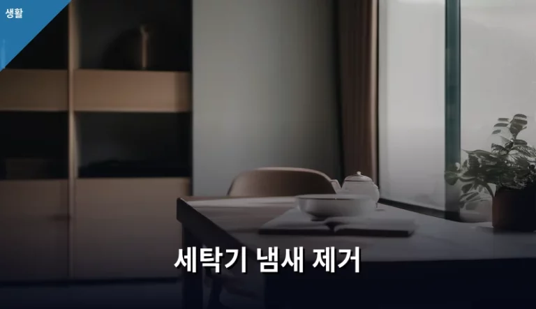세탁기 냄새 제거 방법과 관리 노하우 정리