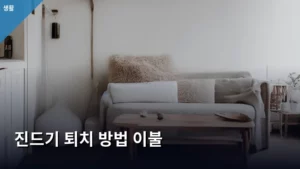진드기 퇴치 방법, 이불부터 꼼꼼하게 관리해야 하는 이유