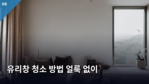 유리창 청소 방법, 얼룩 없이 맑게 만드는 비법 대공개