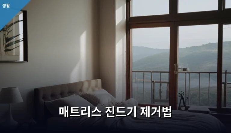 쾌적한 숙면을 위한 매트리스 진드기 제거법 완벽 가이드