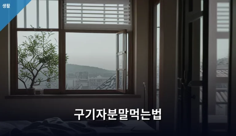 구기자분말먹는법 및 건강한 섭취 가이드