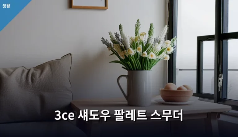3ce 섀도우 팔레트 스무더 활용법과 구매 가이드