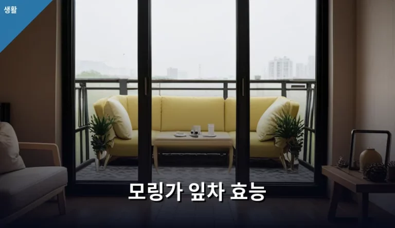 모링가 잎차 효능과 올바른 섭취 방법 및 주의사항