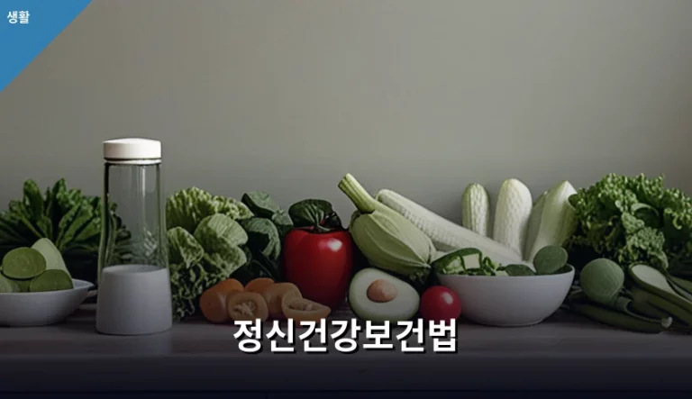 정신건강보건법 핵심 내용과 환자 인권 보호 가이드