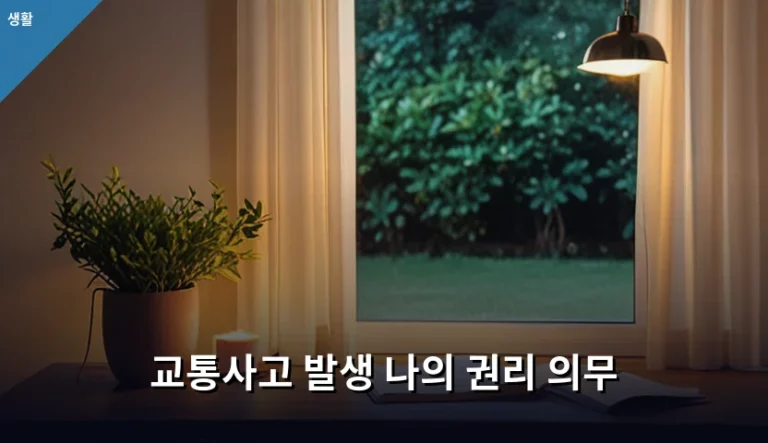 교통사고 발생 나의 권리 의무 및 사고 대처 가이드