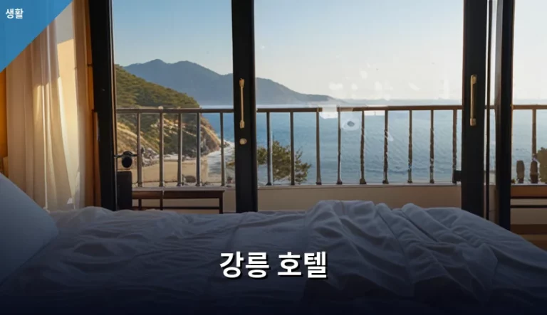 강릉 호텔 위치별 특징과 예약 시 주의사항